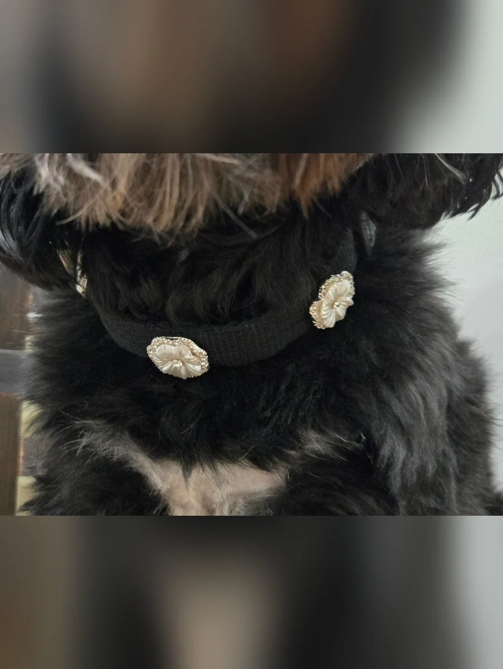 NEW! Luxury Rhinestone Camelia Flower Collar